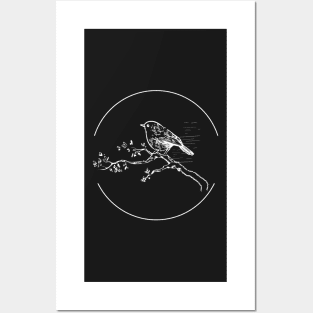 bird photography sketch Posters and Art